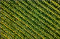Wachau 18