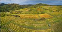 Wachau 16