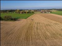Mais schlegeln 17