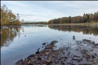 Karpfenteich abfischen 20
