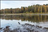 Karpfenteich abfischen 18