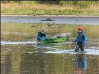 Karpfenteich abfischen 17
