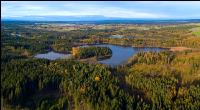 Waldviertler Teich 5
