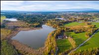 Waldviertler Teich 4