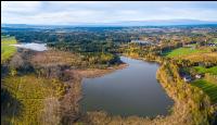 Waldviertler Teich 3
