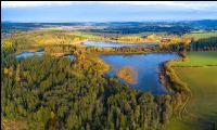 Waldviertler Teich 2