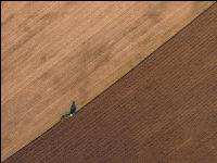 Ploughing maize field 16