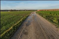 Feldweg nach Regen