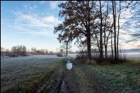 Kremsauen November 9