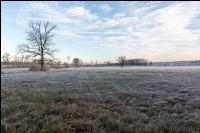 Kremsauen November 8