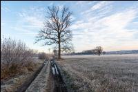 Kremsauen November 7