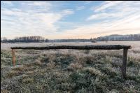 Kremsauen November 4