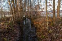 Kremsauen 18