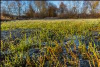 Kremsauen 5