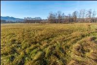 Kremsauen November 1