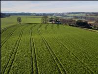 Landschaft im Spätherbst 8