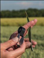 Foliage diseases magnifier 2