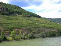 Wachau Sommer 5