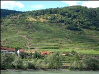 Wachau Sommer 4