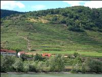 wachau summer 4