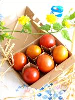 Osternest 4