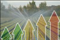 Irrigation costs raise