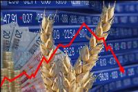 Wheat price EU 3