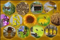 Collage Bienen