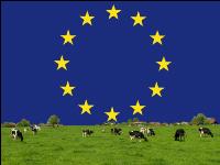 Milchwirtschaft EU