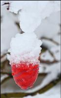 Weiße Ostern 5