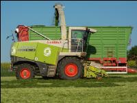 Gras häckseln 72