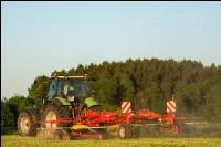 Schwaden Abendstimmung 2