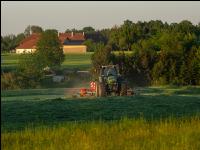 Schwaden Abendstimmung 1