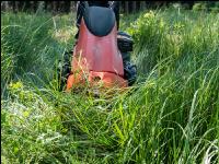 Forest mowing 6