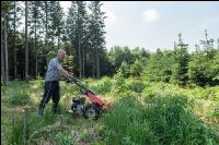 Jungkultur ausmähen 5