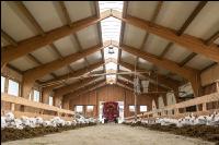 Milchziegen Silage 13
