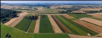 Waldviertel Oberedlitz 2