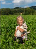 Saaneziege Kinder 3
