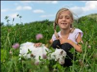 Saaneziege Kinder 2