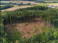 Kahlschlag nach Borkenkäfer 2