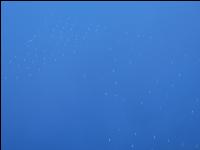 Offshore Windräder