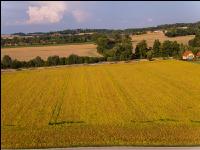 Soja Dürre 19