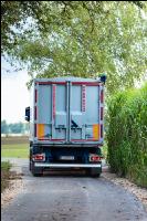 Maisvermehrung Ernte 25