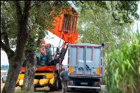 Maisvermehrung Ernte 23