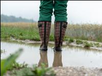 Regenperiode im Juni 2