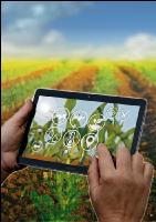 Digital farming 11
