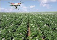 Drohnen in der Landwirtschaft 9
