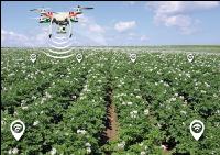 Drohnen in der Landwirtschaft 23