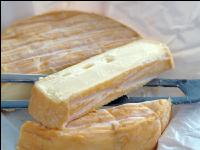 Rotschmierkäse 1