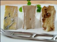 Weichkäse 1